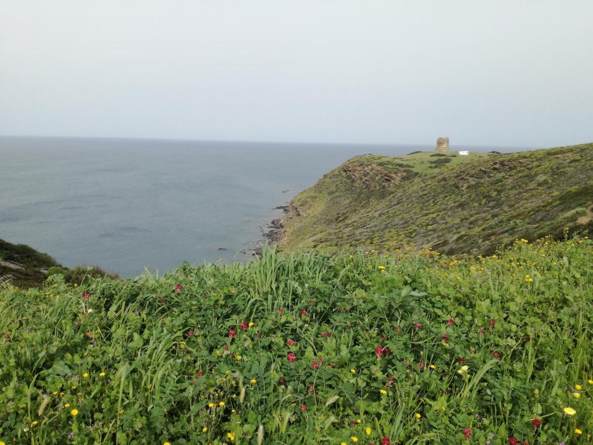 La Calla Bianca Torre dei Corsari Luaran gambar